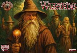 ALL72069 Wizards