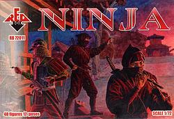 RB72011 Ninja